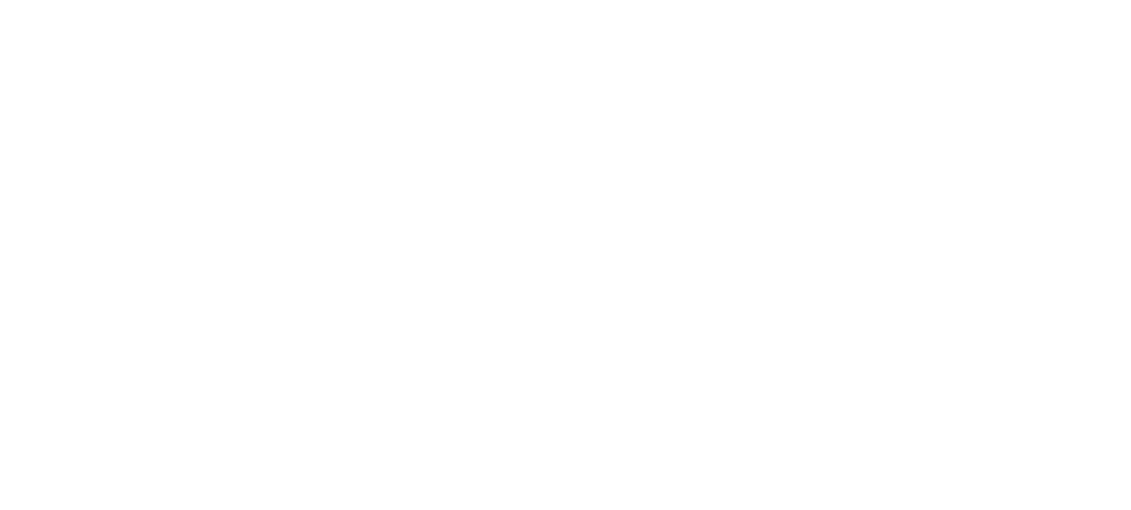AXS Logo